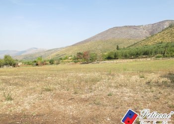 Foto 41 - Terreno agricolo Via Pietra Grossa, Fondi - foto 14