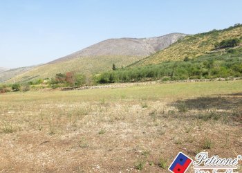 Foto 42 - Terreno agricolo Via Pietra Grossa, Fondi - foto 15