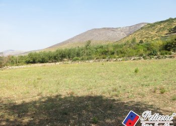 Foto 43 - Terreno agricolo Via Pietra Grossa, Fondi - foto 16