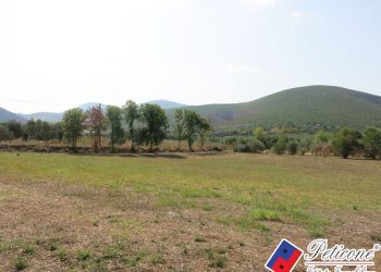 Foto 45 - Terreno agricolo Via Pietra Grossa, Fondi - foto 18