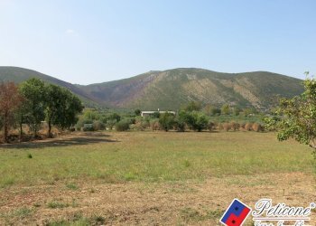 Foto 46 - Terreno agricolo Via Pietra Grossa, Fondi - foto 19