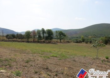 Foto 48 - Terreno agricolo Via Pietra Grossa, Fondi - foto 21