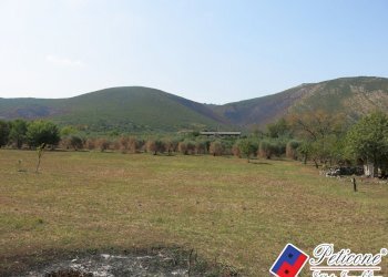 Foto 49 - Terreno agricolo Via Pietra Grossa, Fondi - foto 22