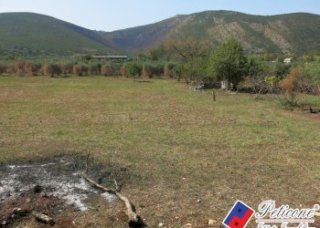 Foto 50 - Terreno agricolo Via Pietra Grossa, Fondi - foto 23