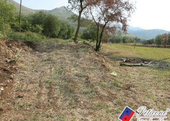 Foto 26 - Terreno agricolo Via Pietra Grossa, Fondi - foto 24