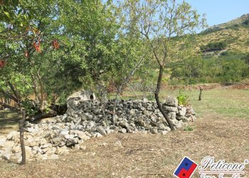 Foto 27 - Terreno agricolo Via Pietra Grossa, Fondi - foto 25