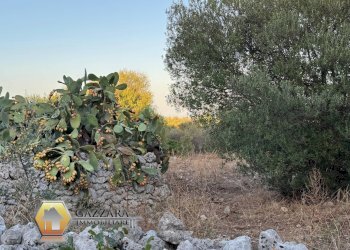 Foto 18 - Terreno edificabile c.da Scacciacoppoli/cugno Lupo
sn, Canicattini Bagni - foto 18