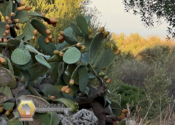 Foto 23 - Terreno edificabile c.da Scacciacoppoli/cugno Lupo
sn, Canicattini Bagni - foto 23