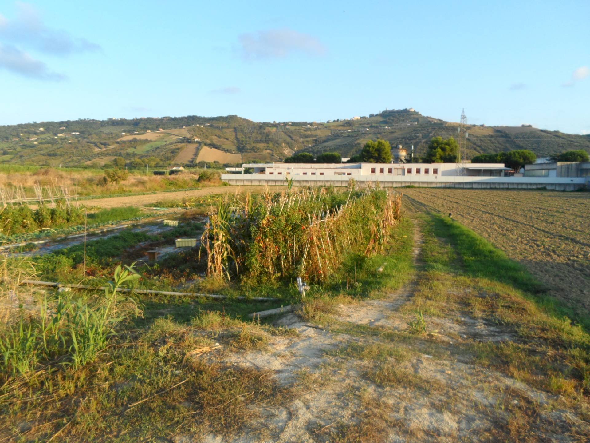 Foto 3 - Terreno edificabile Via Dell'industria, Monteprandone - foto 3