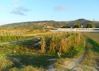 Foto 4 - Terreno edificabile Via Dell'industria, Monteprandone - foto 4