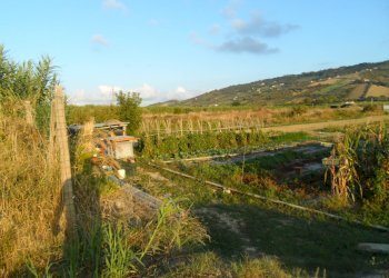 Foto 5 - Terreno edificabile Via Dell'industria, Monteprandone - foto 5