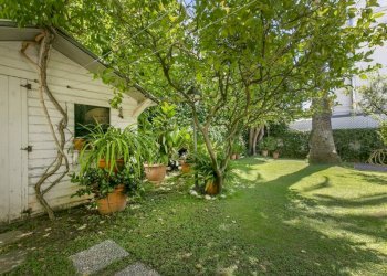 Giardino - Villa via della Pineta, 12, Anzio - foto 37