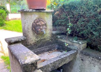 Foto 15 - Villa Pietrasanta - foto 15