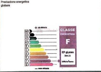 Foto 64 - Villa Montignoso - foto 64