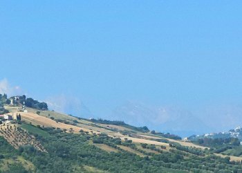 Foto 15 - Capannone Via del Commercio, Bellante - foto 15