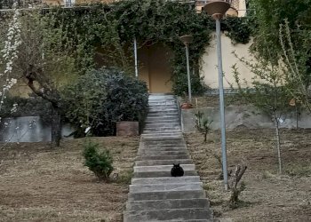 Villa San Francesco al Campo, via Diani, San Francesco al Campo - foto 28