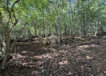 Rustico Frazione Toglie, Viù - foto 8