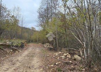 Rustico Frazione Toglie, Viù - foto 4