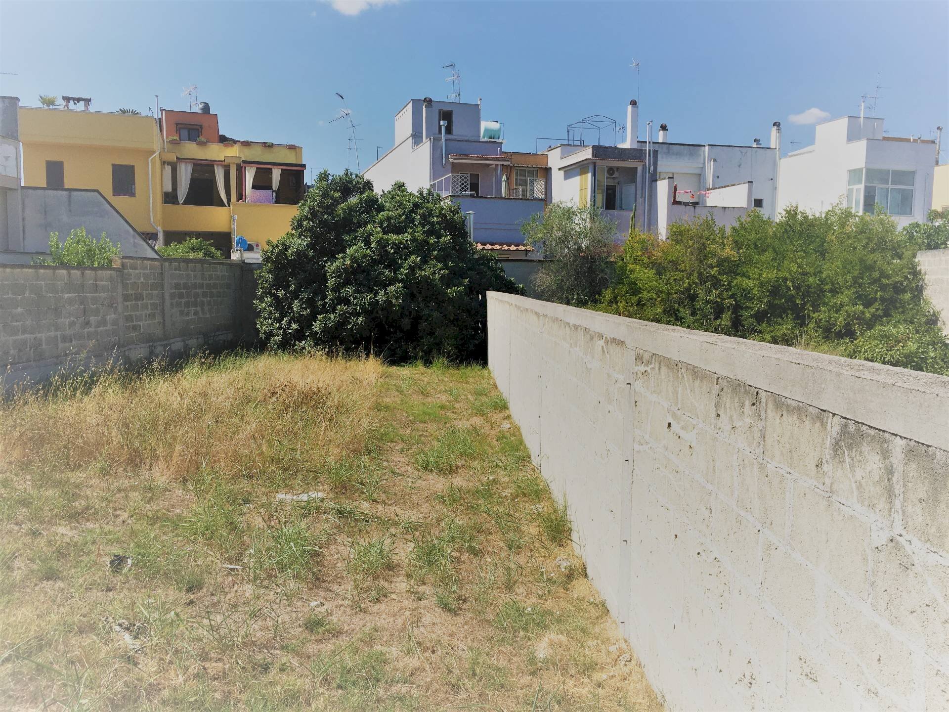 Foto 2 - Terreno edificabile Via 16 Marzo, San Cesario di Lecce - foto 2