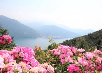 Foto 6 - Casa indipendente Località Molineggi, Cannobio - foto 6