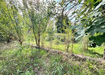 Foto 5 - Casa indipendente Castellazzo Bormida - foto 5