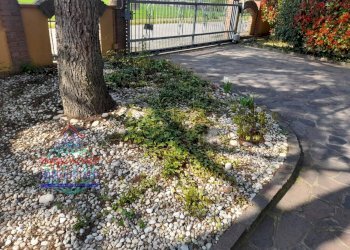 Foto 10 - Casa semi indipendente VIA LONGAROLA
 
3, Sala Bolognese - foto 10