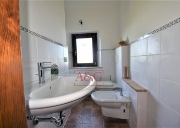 Foto 35 - Rustico contrada Santa Lucia
 
snc, Servigliano - foto 35