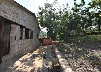 Foto 42 - Rustico contrada Santa Lucia
 
snc, Servigliano - foto 42