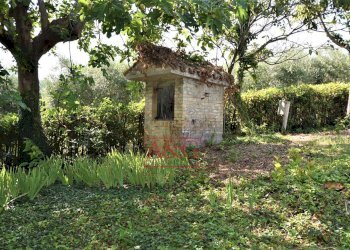 Foto 43 - Rustico contrada Santa Lucia
 
snc, Servigliano - foto 43