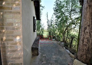 Foto 46 - Rustico contrada Santa Lucia
 
snc, Servigliano - foto 46