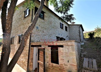 Foto 47 - Rustico contrada Santa Lucia
 
snc, Servigliano - foto 47