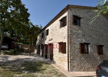 Foto 50 - Rustico contrada Santa Lucia
 
snc, Servigliano - foto 50