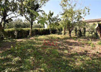 Foto 54 - Rustico contrada Santa Lucia
 
snc, Servigliano - foto 54