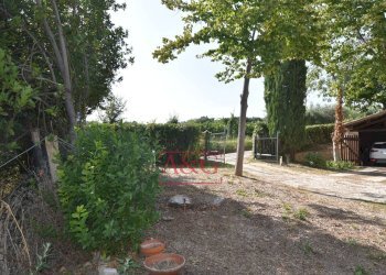 Foto 55 - Rustico contrada Santa Lucia
 
snc, Servigliano - foto 55