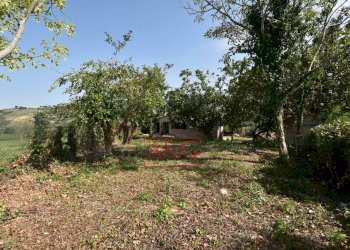 Foto 56 - Rustico contrada Santa Lucia
 
snc, Servigliano - foto 56