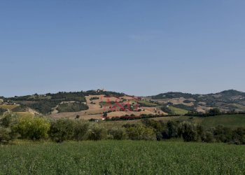 Foto 60 - Rustico contrada Santa Lucia
 
snc, Servigliano - foto 60