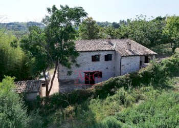 Foto 61 - Rustico contrada Santa Lucia
 
snc, Servigliano - foto 61