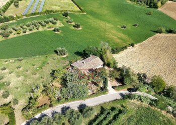 Foto 65 - Rustico contrada Santa Lucia
 
snc, Servigliano - foto 65