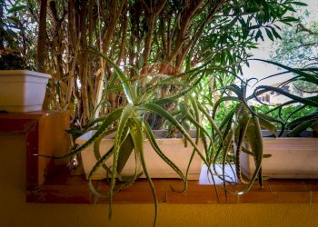 Dettagli - Villa a Schiera via della lanterna
 
35, Sciacca - foto 26