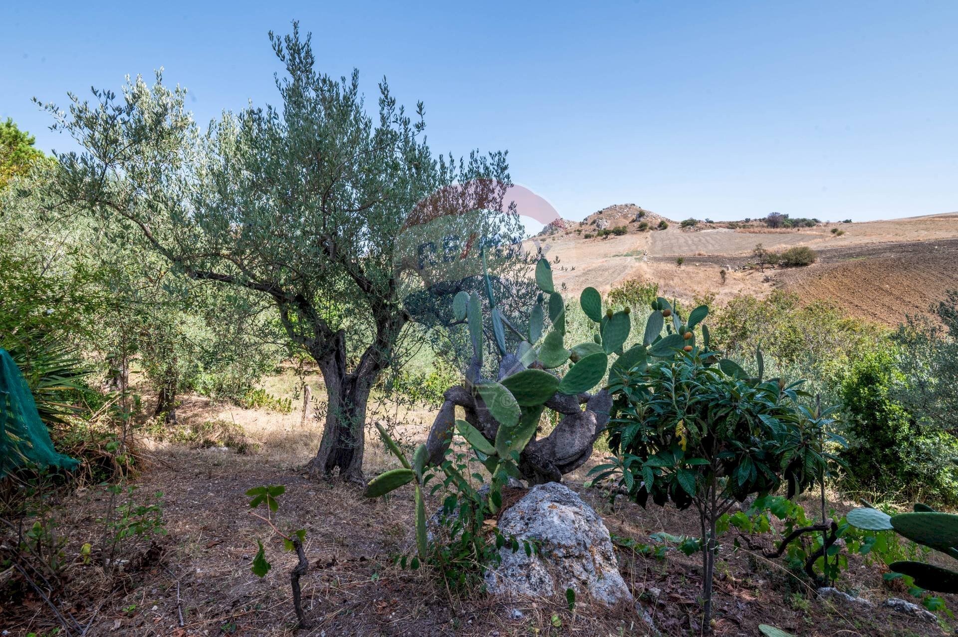 Giardino - Villa c/da marcimino sp48
 
SN, Caltagirone - foto 2