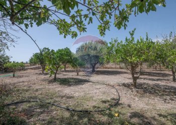 Giardino - Villa c/da marcimino sp48
 
SN, Caltagirone - foto 51