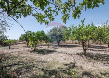 Giardino - Villa c/da marcimino sp48
 
SN, Caltagirone - foto 23