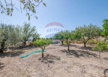 Giardino - Villa c/da marcimino sp48
 
SN, Caltagirone - foto 10