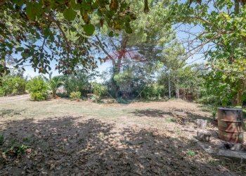 Giardino - Villa c/da marcimino sp48
 
SN, Caltagirone - foto 22