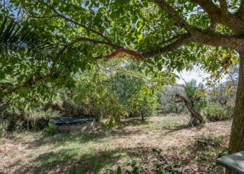 Giardino - Villa c/da marcimino sp48
 
SN, Caltagirone - foto 24