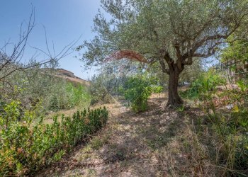 Giardino - Villa c/da marcimino sp48
 
SN, Caltagirone - foto 25