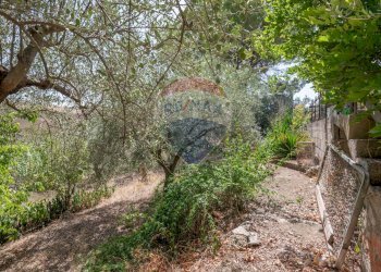 Giardino - Villa c/da marcimino sp48
 
SN, Caltagirone - foto 27