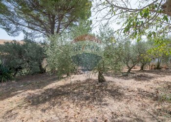 Giardino - Villa c/da marcimino sp48
 
SN, Caltagirone - foto 35