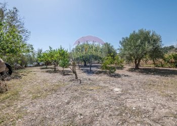 Giardino - Villa c/da marcimino sp48
 
SN, Caltagirone - foto 38