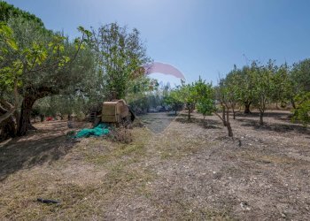 Giardino - Villa c/da marcimino sp48
 
SN, Caltagirone - foto 39